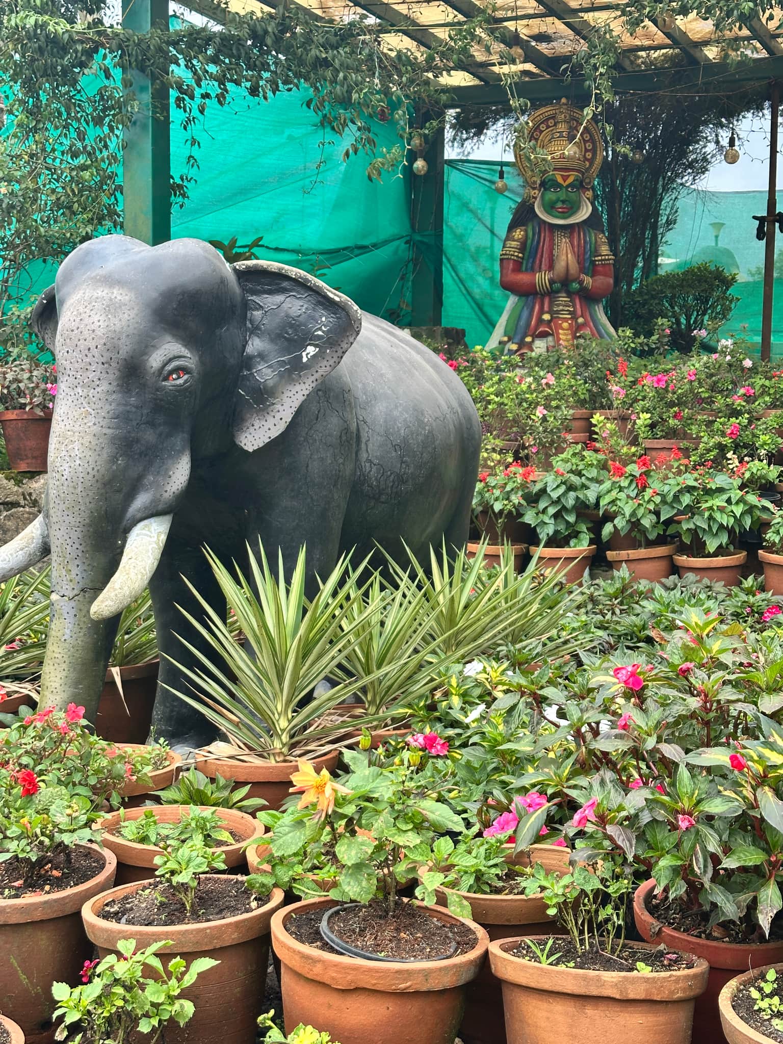 Photo from Shromona Sarkar's trip