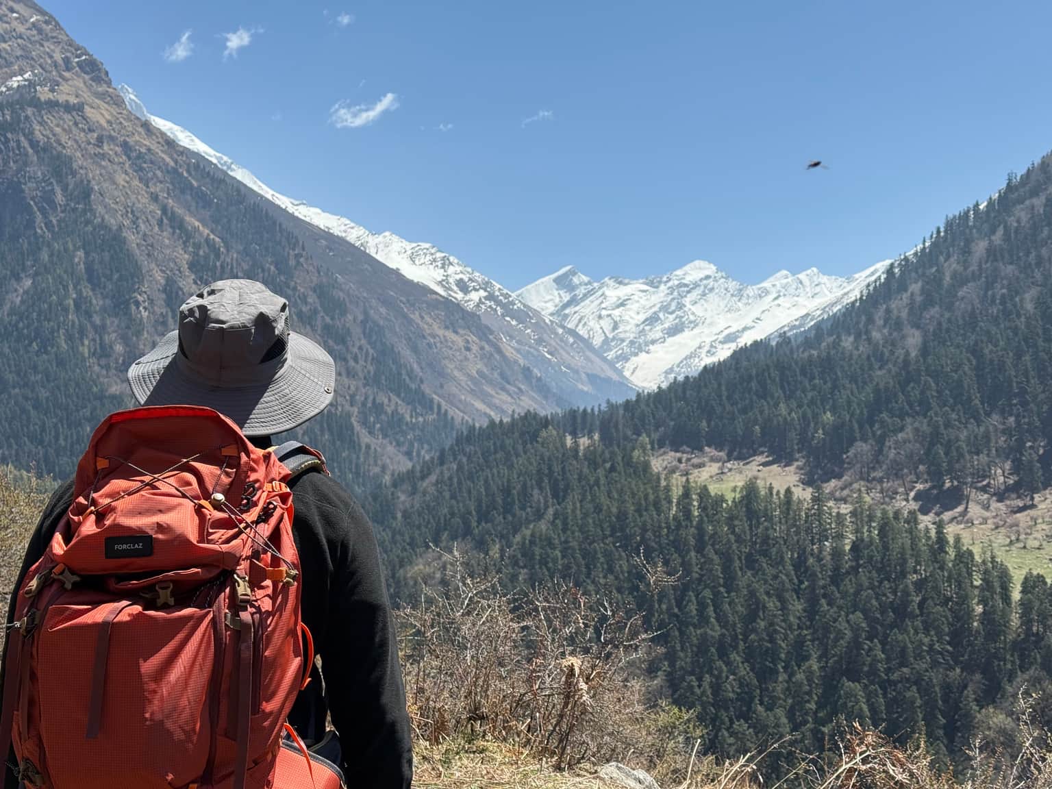 Photo from Sajal Raghav's trip