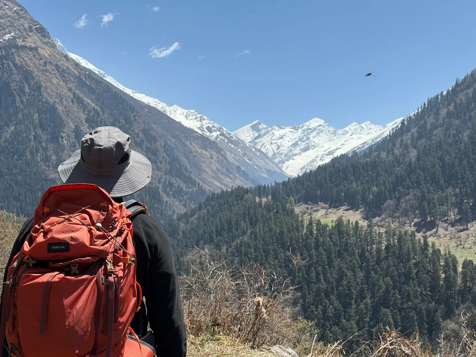 Photo from Sajal Raghav's trip