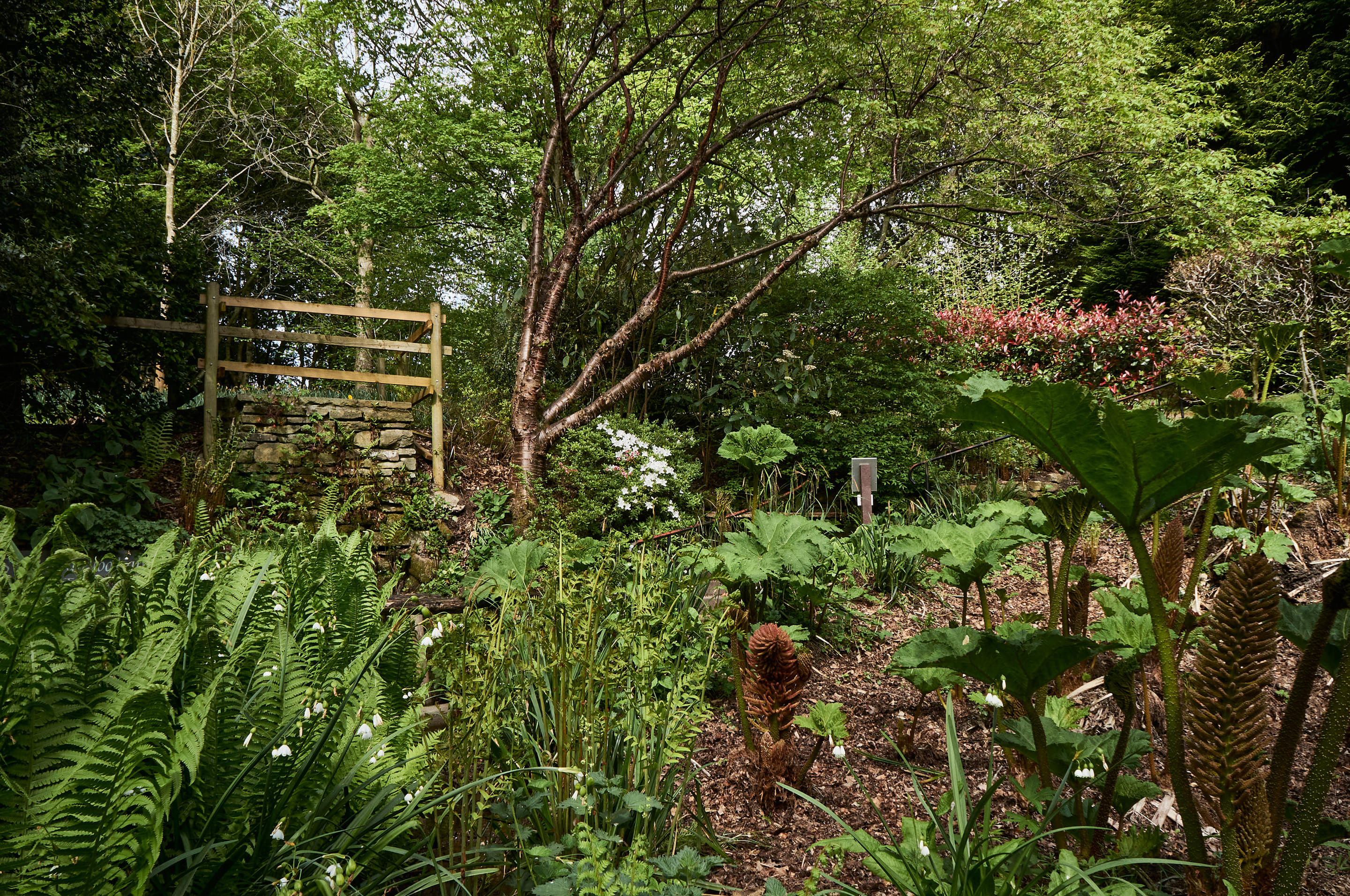 Durham University Botanic Garden Overview