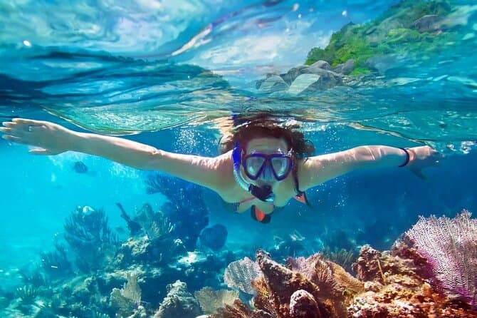 Snorkeling in Trincomalee Image