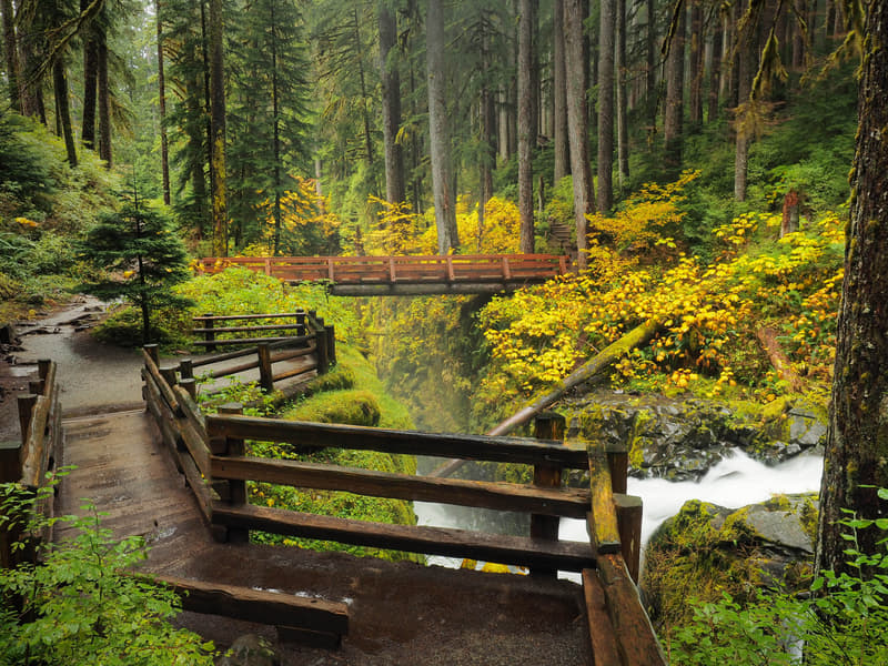 Olympic National Park Seattle Day Tour Image