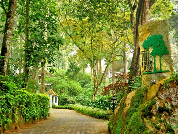 Visit the Tall Tree Resort and spend some quality time