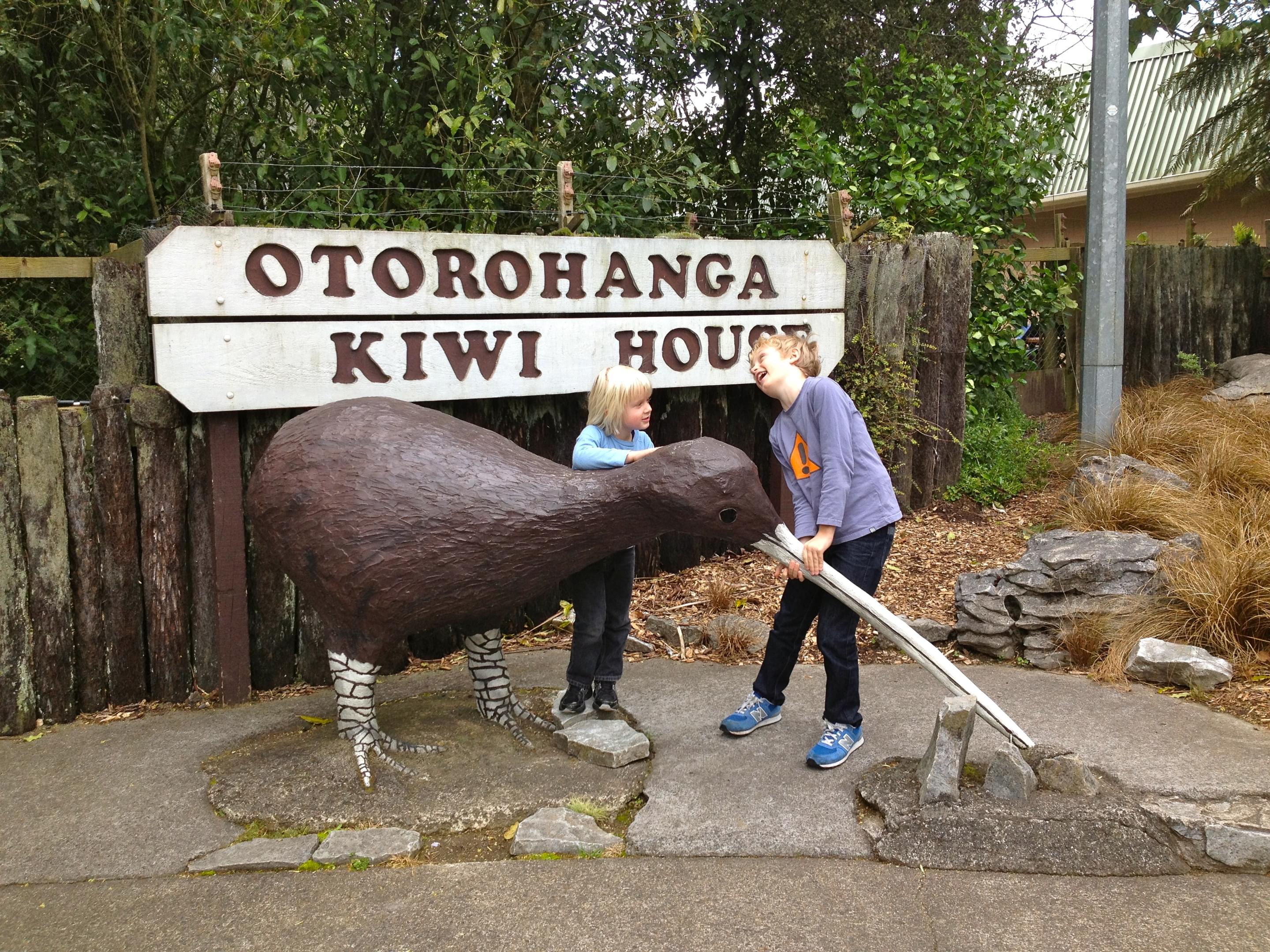 Otorohanga Kiwi House Overview