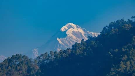 Trek Through Alpine Meadows & Forest
