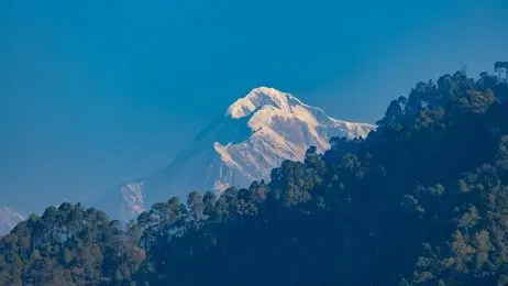 Trek Through Alpine Meadows & Forest