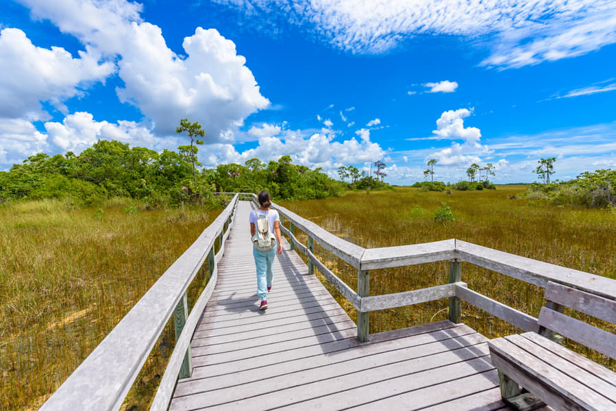 Everglades National Park in Miami