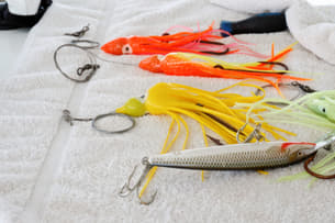 S8sfs6ymg7zxyarkcf4o1cka4oj4 1596534371 shutterstock 11644951