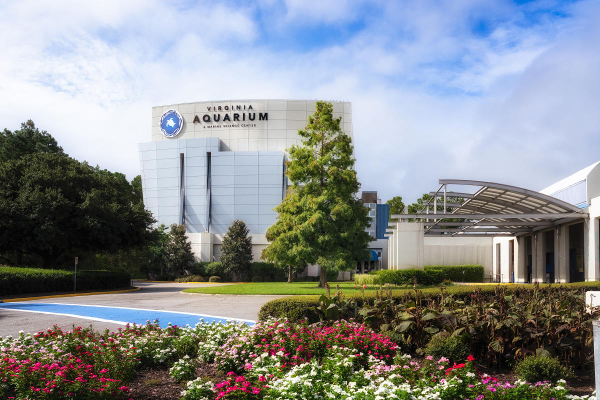 Virginia Aquarium & Marine Science Centre Overview