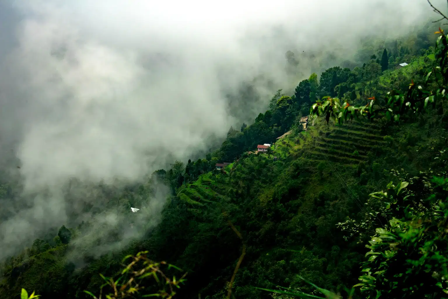 Darjeeling Tour Package