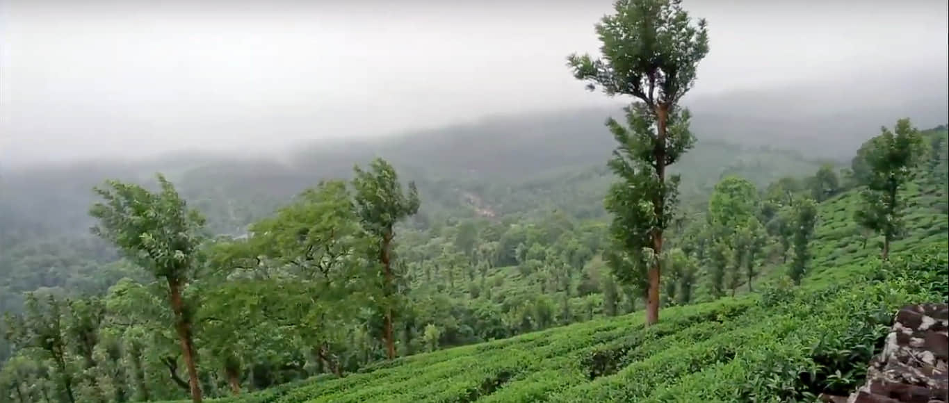 Photo from Vishwamitra Johar's trip