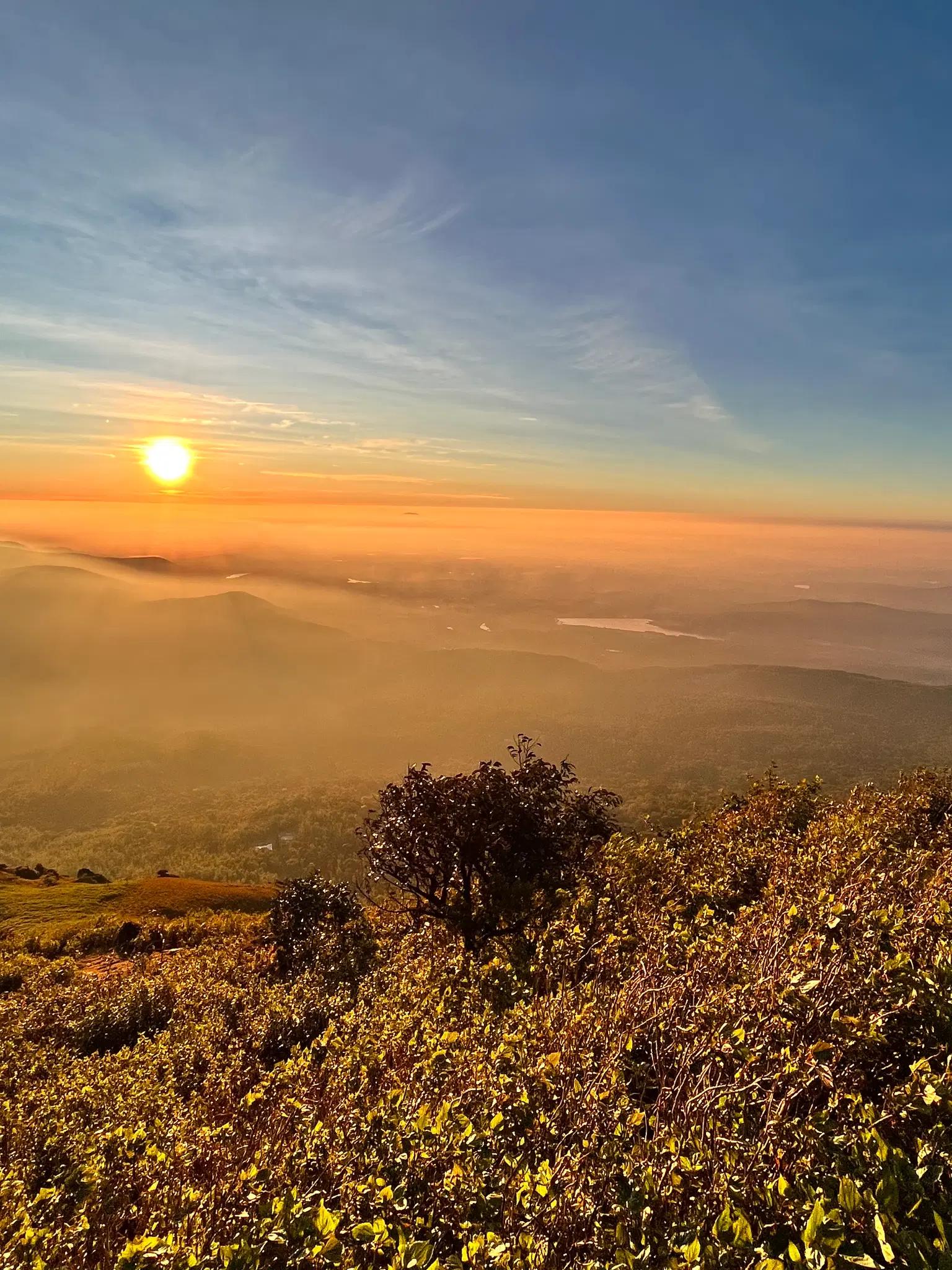 Photo from Arittra Basu's trip