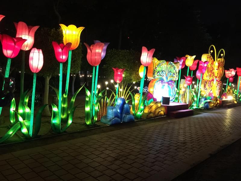Led Lights in Dubai Garden Glow