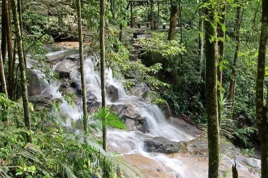 Kanching Rainforest Waterfall