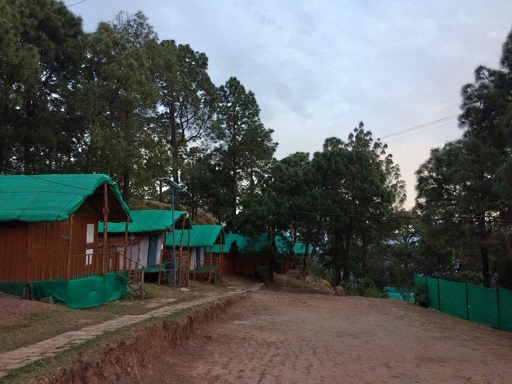 Jungle Camp Kasauli #3