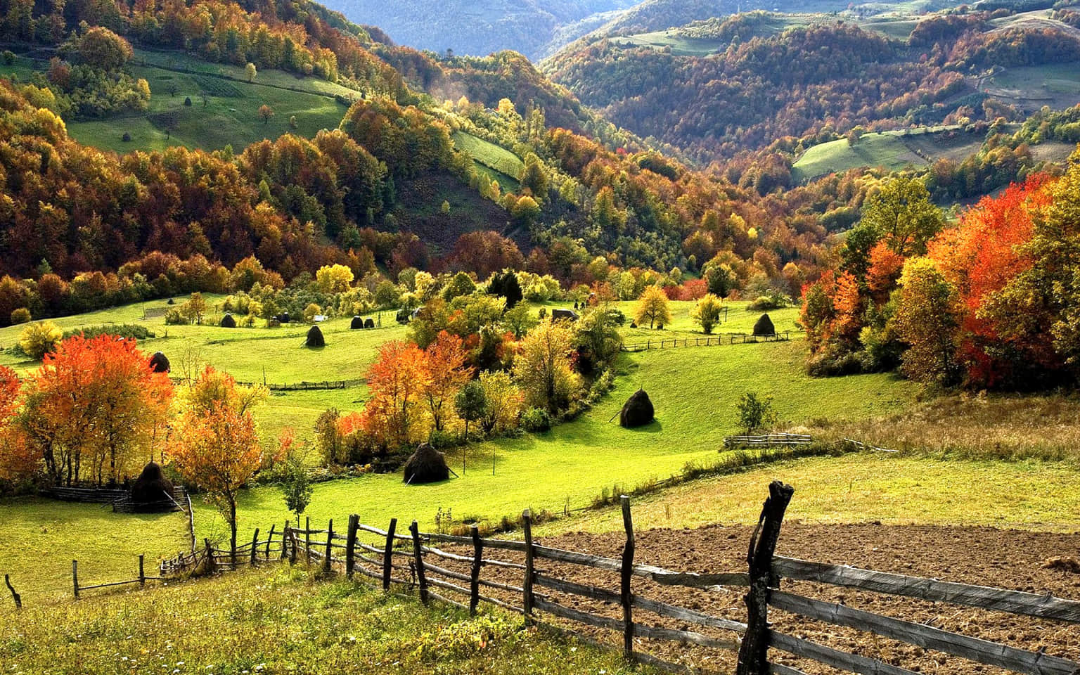 Zlatibor