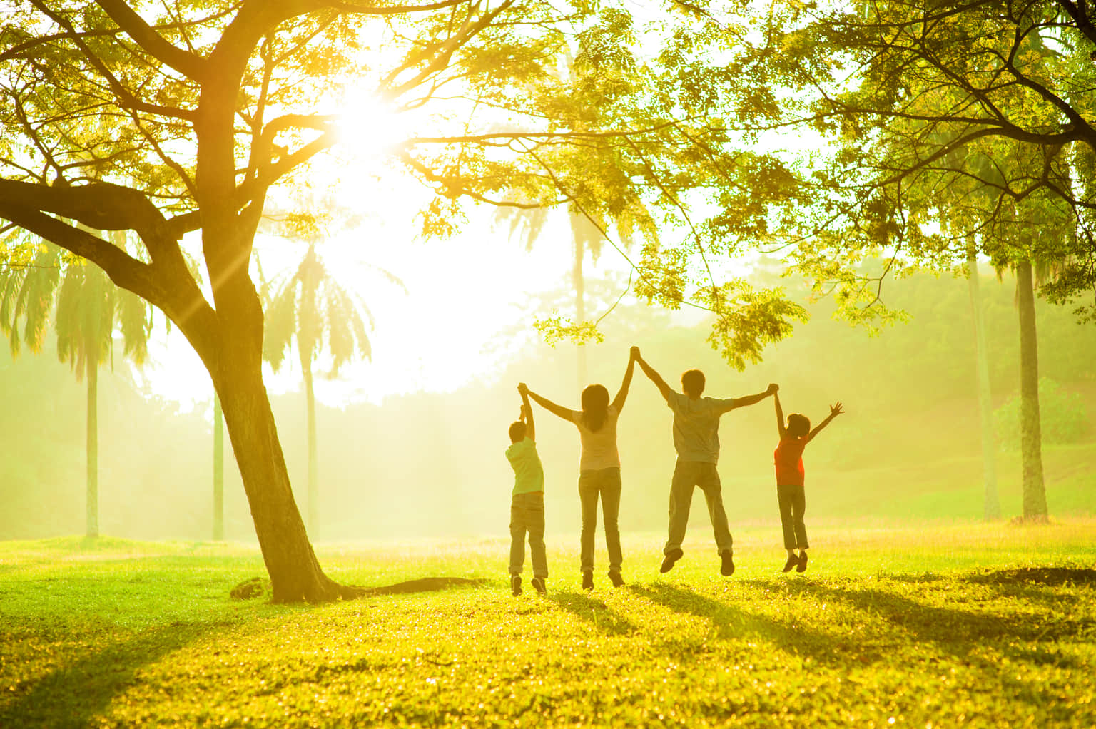 Best Family Tours