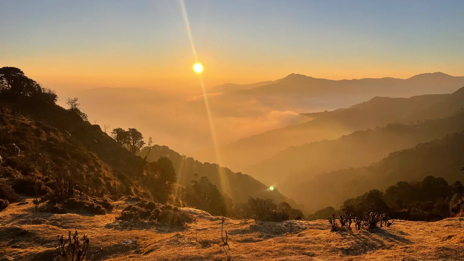 Photo from Debasish  Sahoo's trip