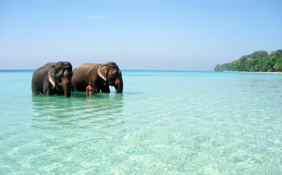 Andaman Coastal Retreat Image