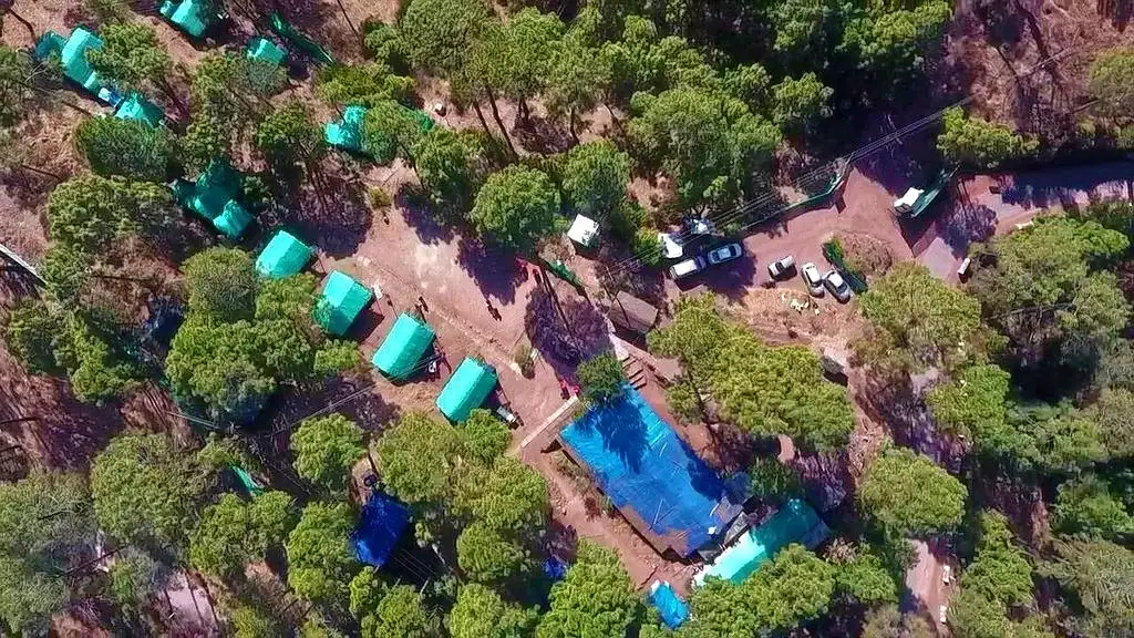 Jungle Camp Kasauli