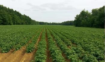 Sc3m6n5hfw7cs5pblg6jjs21tv0e download%20 %202023 12 06t183948.760