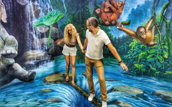 The Animal Kingdom Zone