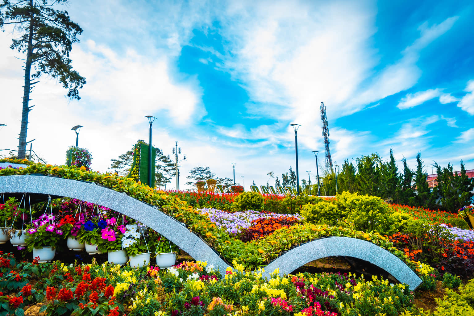 Da Lat Flower Garden