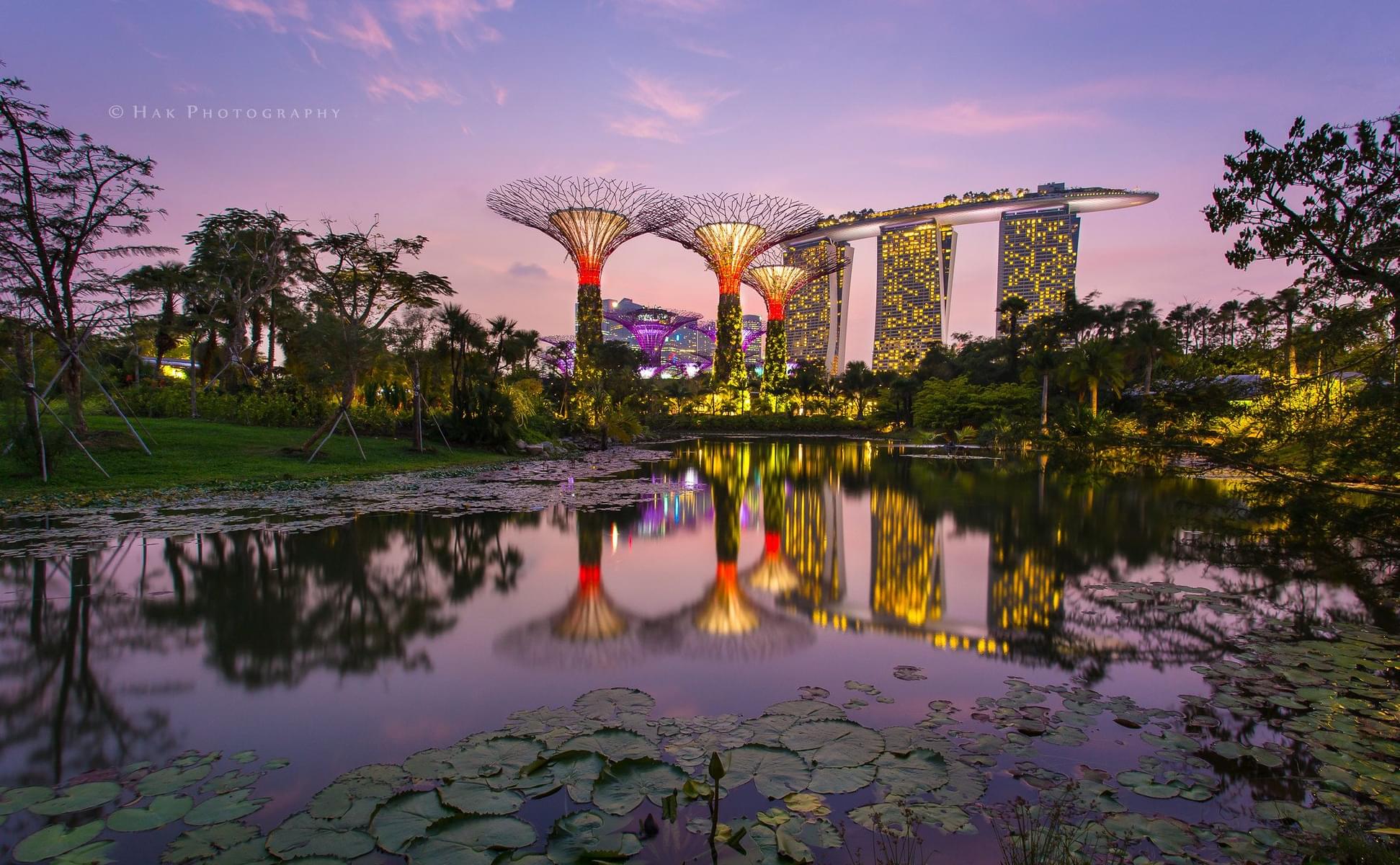 Explore the Gardens by the Bay