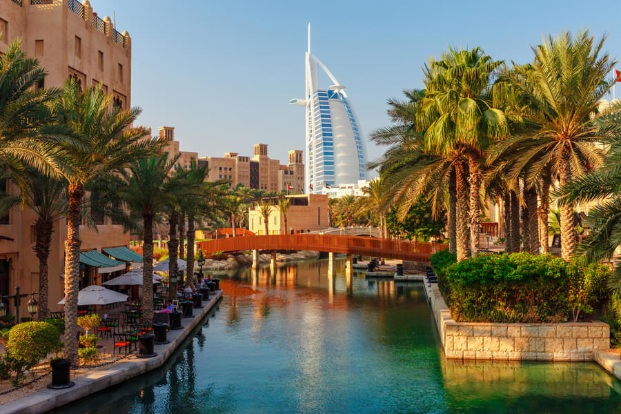 Why You Should Visit Dubai?