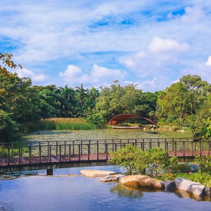 Kingfisher Wetlands.jpg