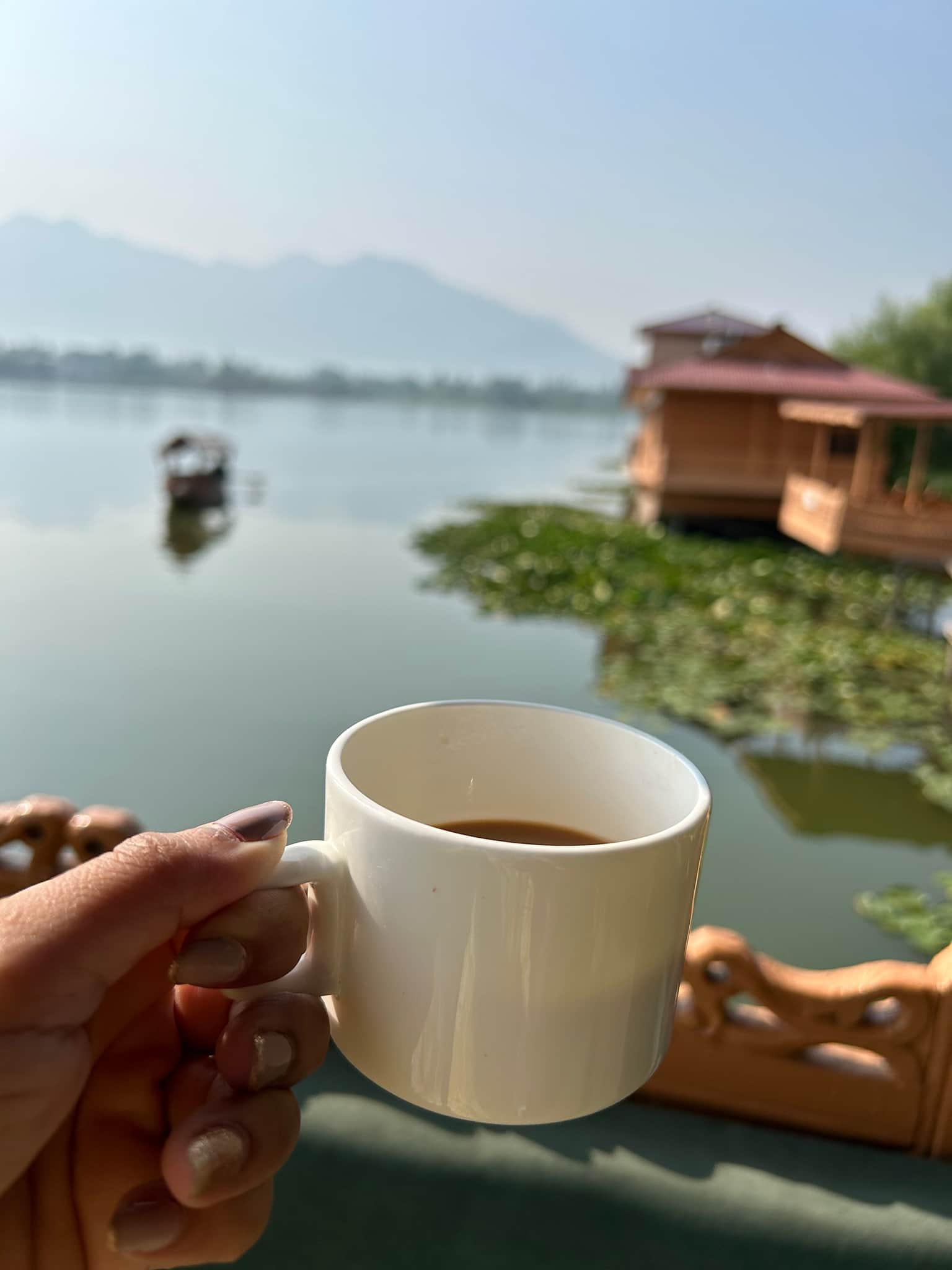 Photo from sanjyot usgaonker's trip