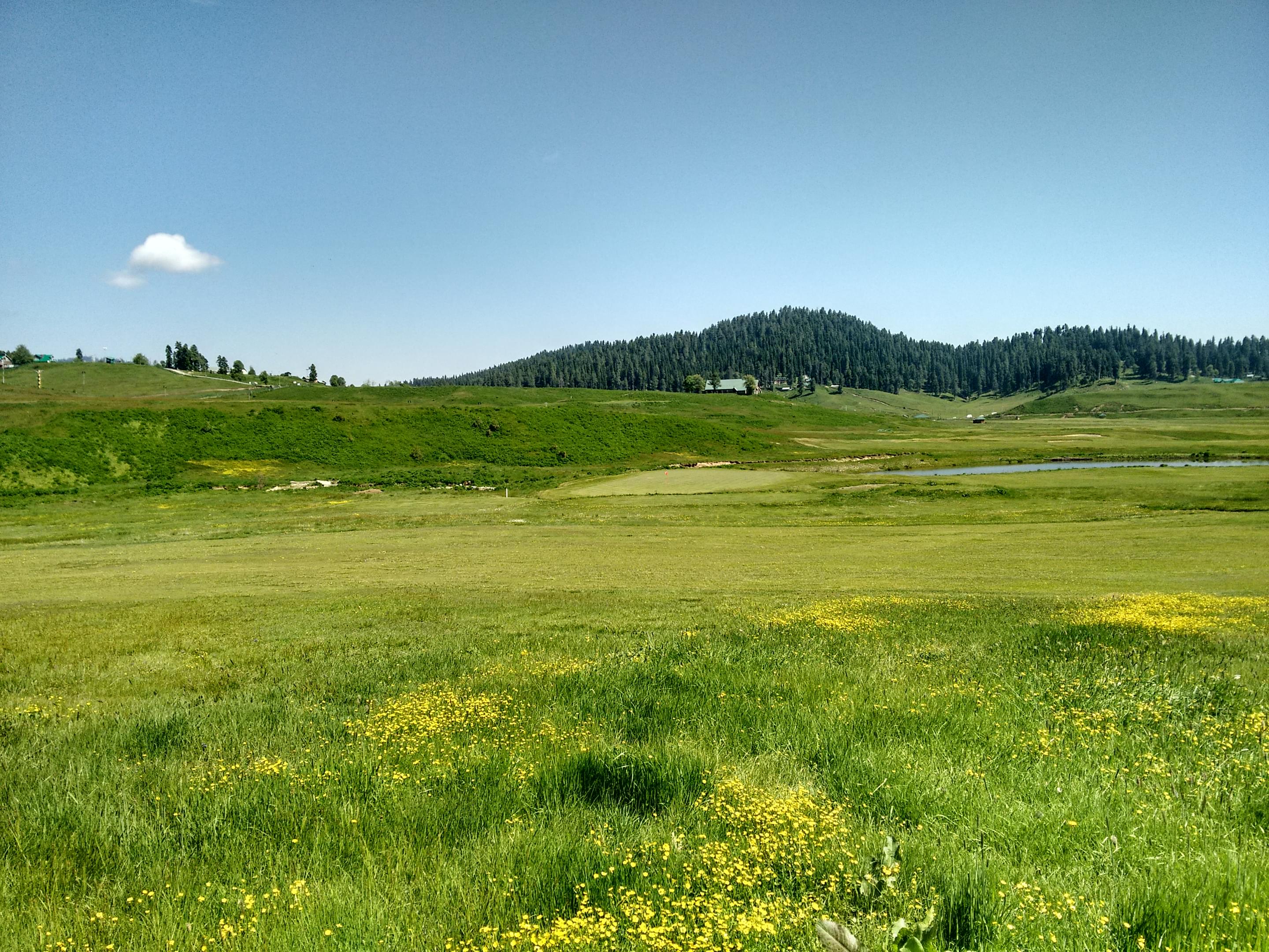 Gulmarg Wildlife Sanctuary Overview