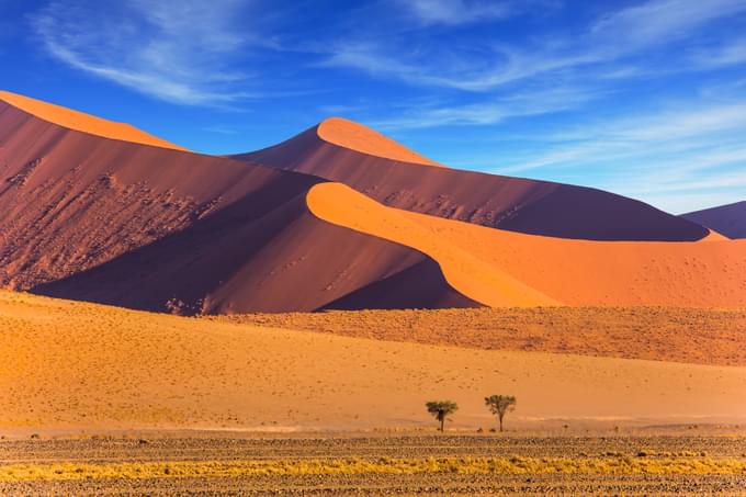 Namib Desert