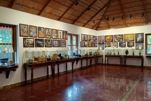 Coorg Coffee Estate and Museum Tour