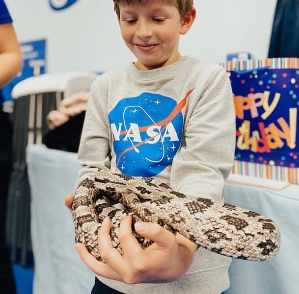 Get an opportunity to connect with wild animals, including different types of snakes