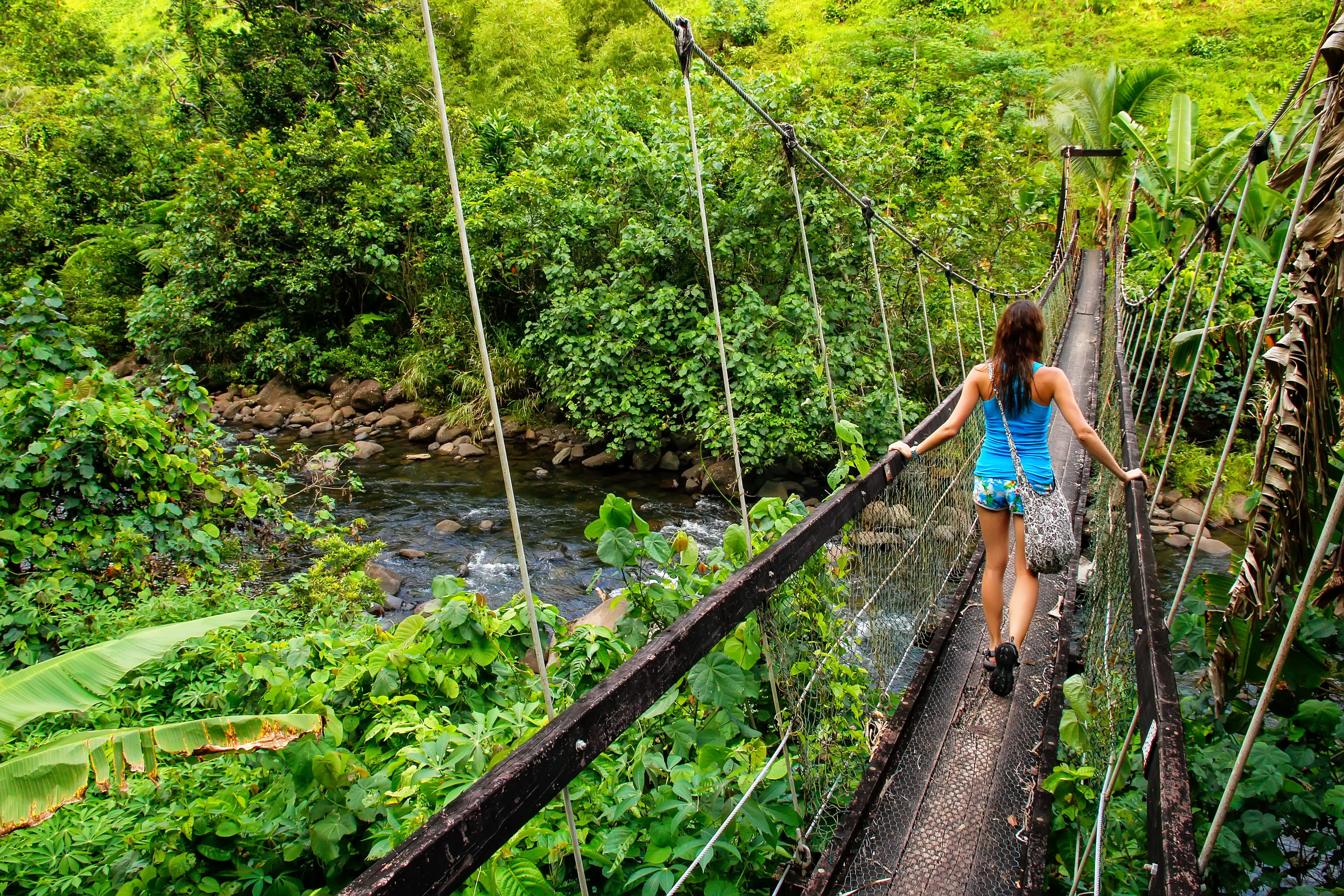 New Zealand and Fiji Honeymoon Package From India