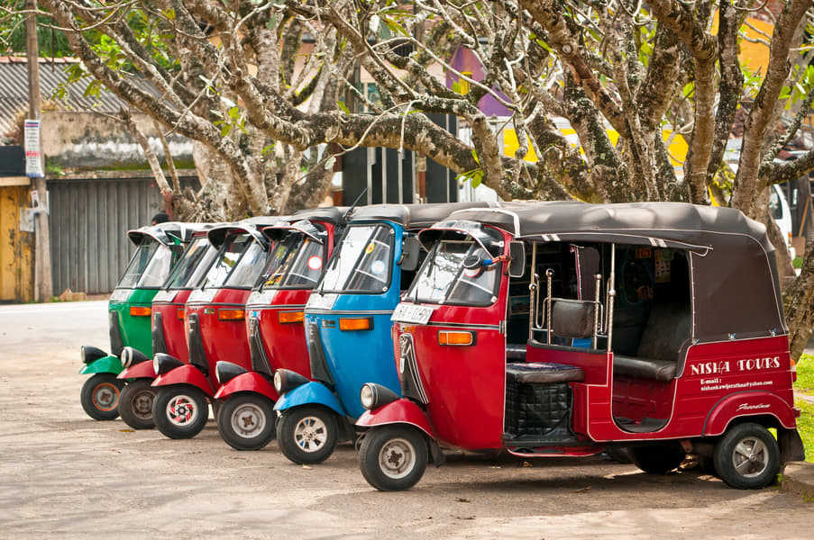 Nuwara Eliya City Tour  Image