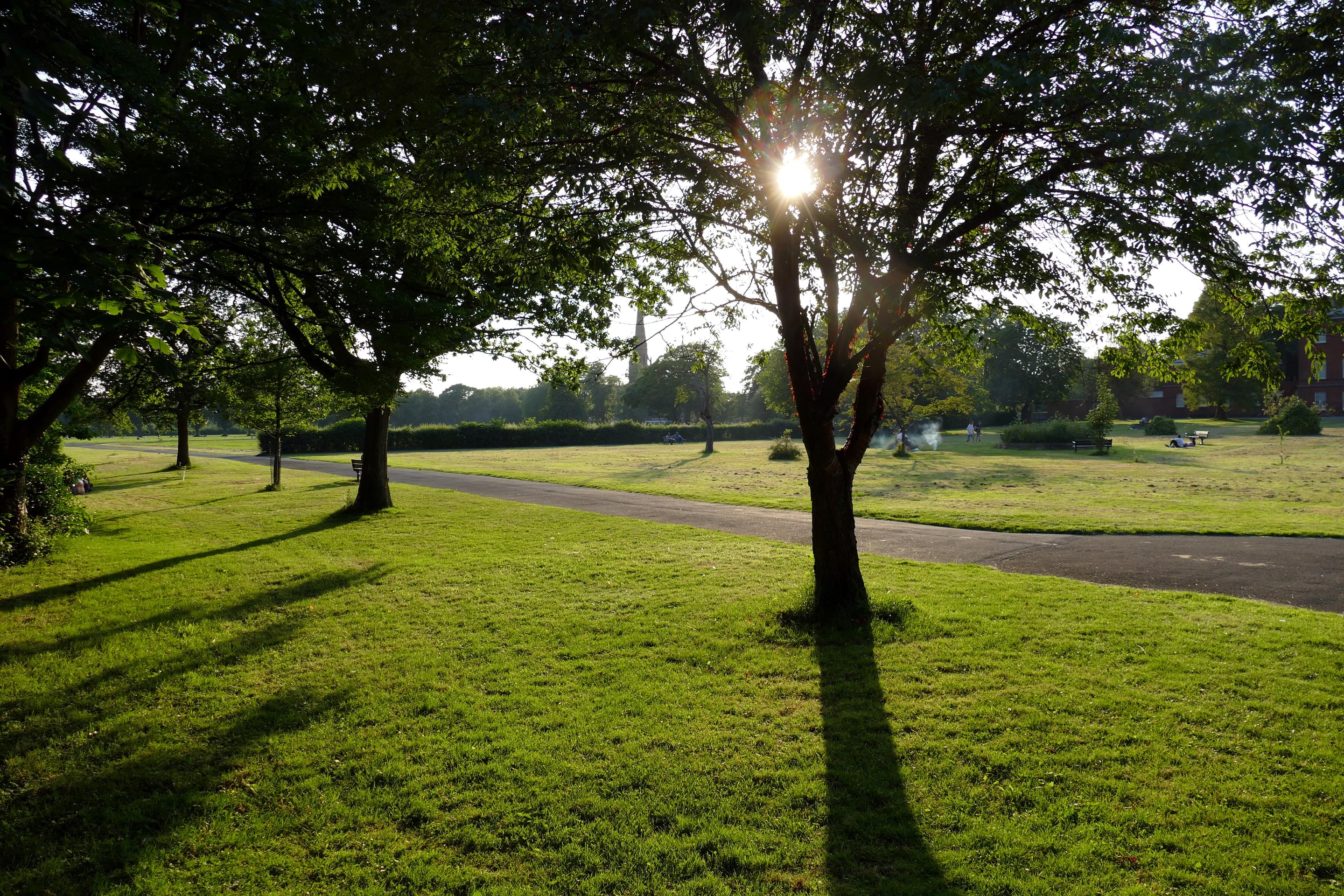 Platt Fields Park Overview