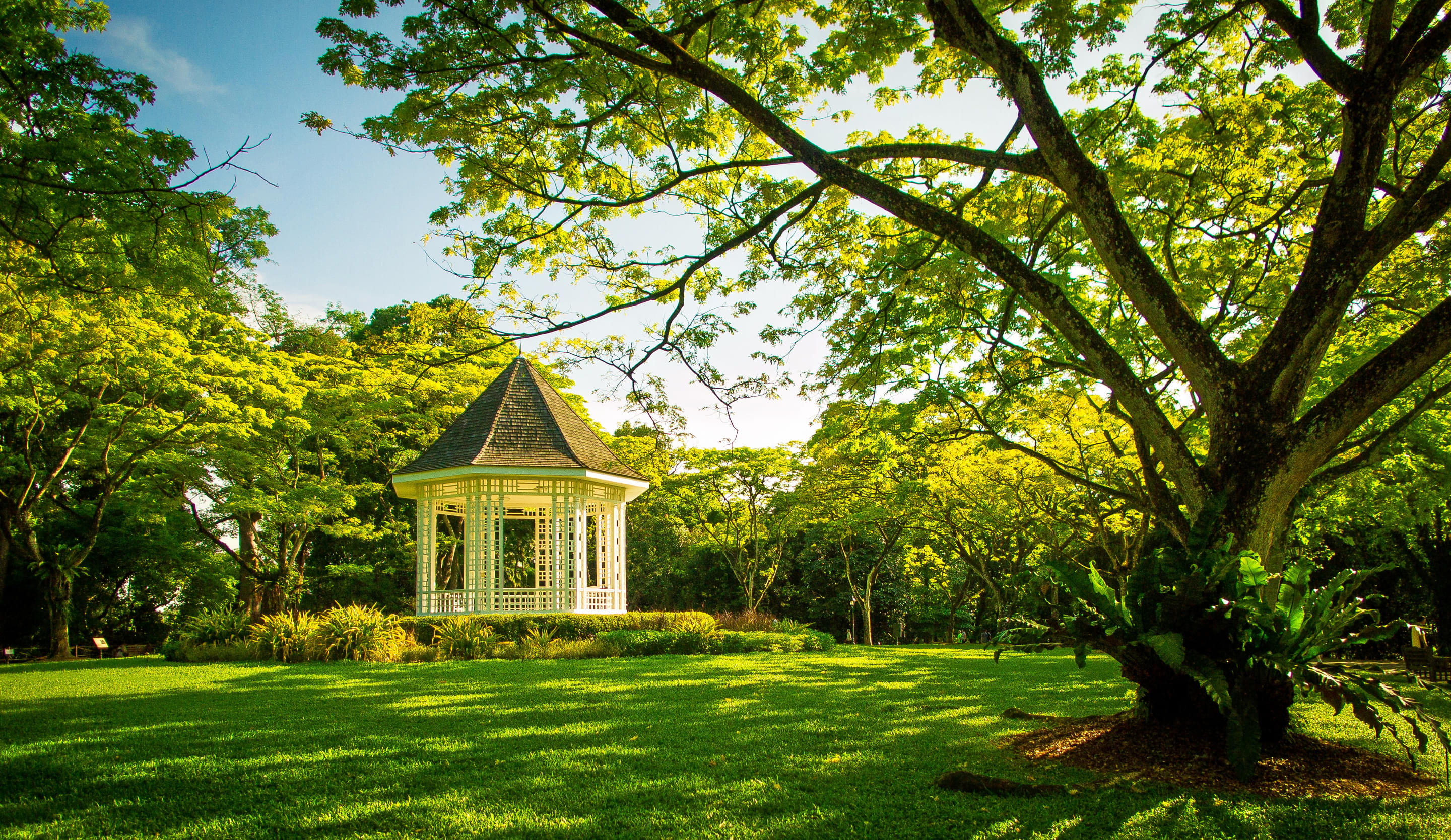 Singapore Botanic Gardens Overview