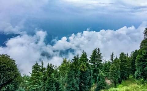 Best Homestays in Mashobra