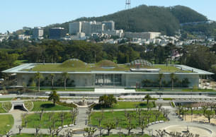 Experience a day at the California Academy of Sciences