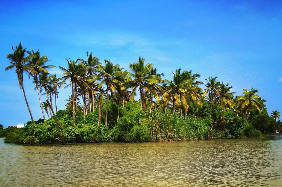 Poovar Island Boating Image