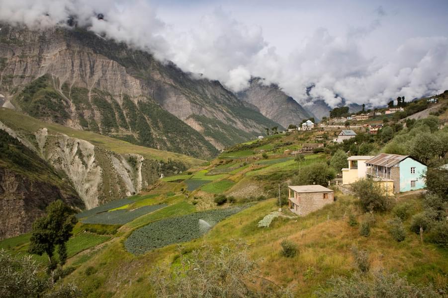 Atal Tunnel, Sissu Valley & Solang Valley Sightseeing Tour Image