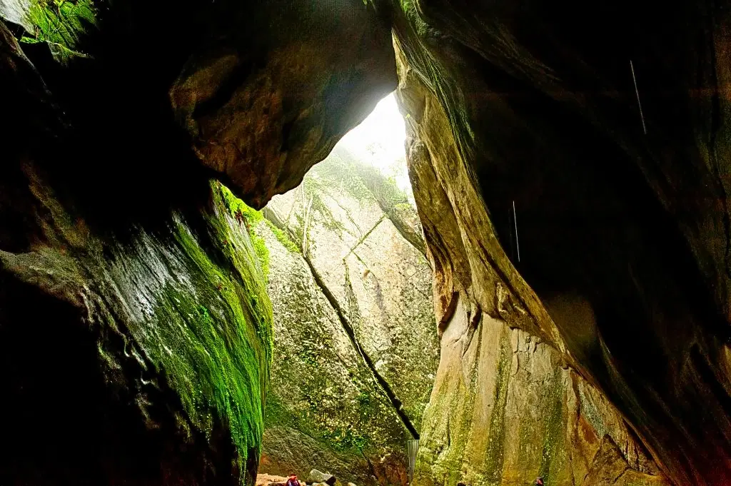 Edakkal Caves Wayanad Tour Book Online