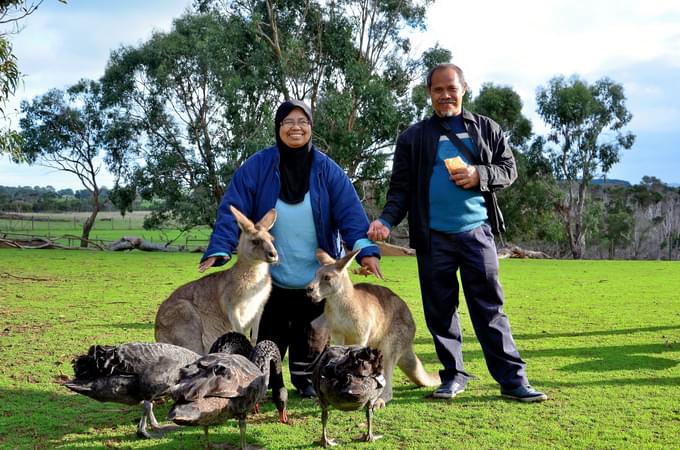 Melbourne Zoo