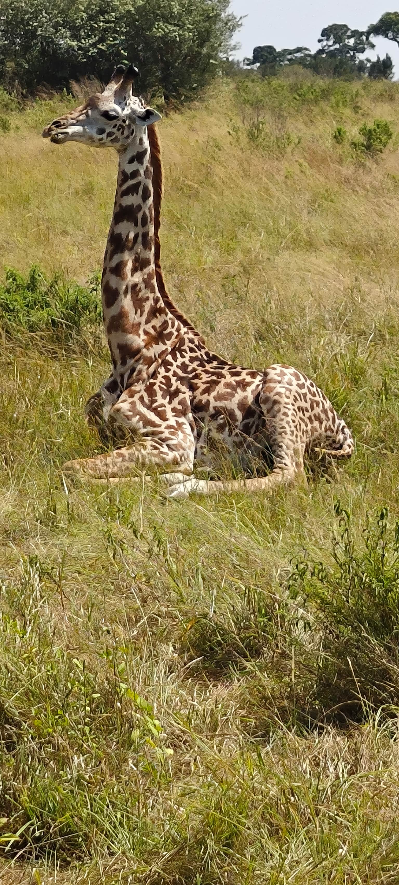 Photo from Avikal Mathur's trip