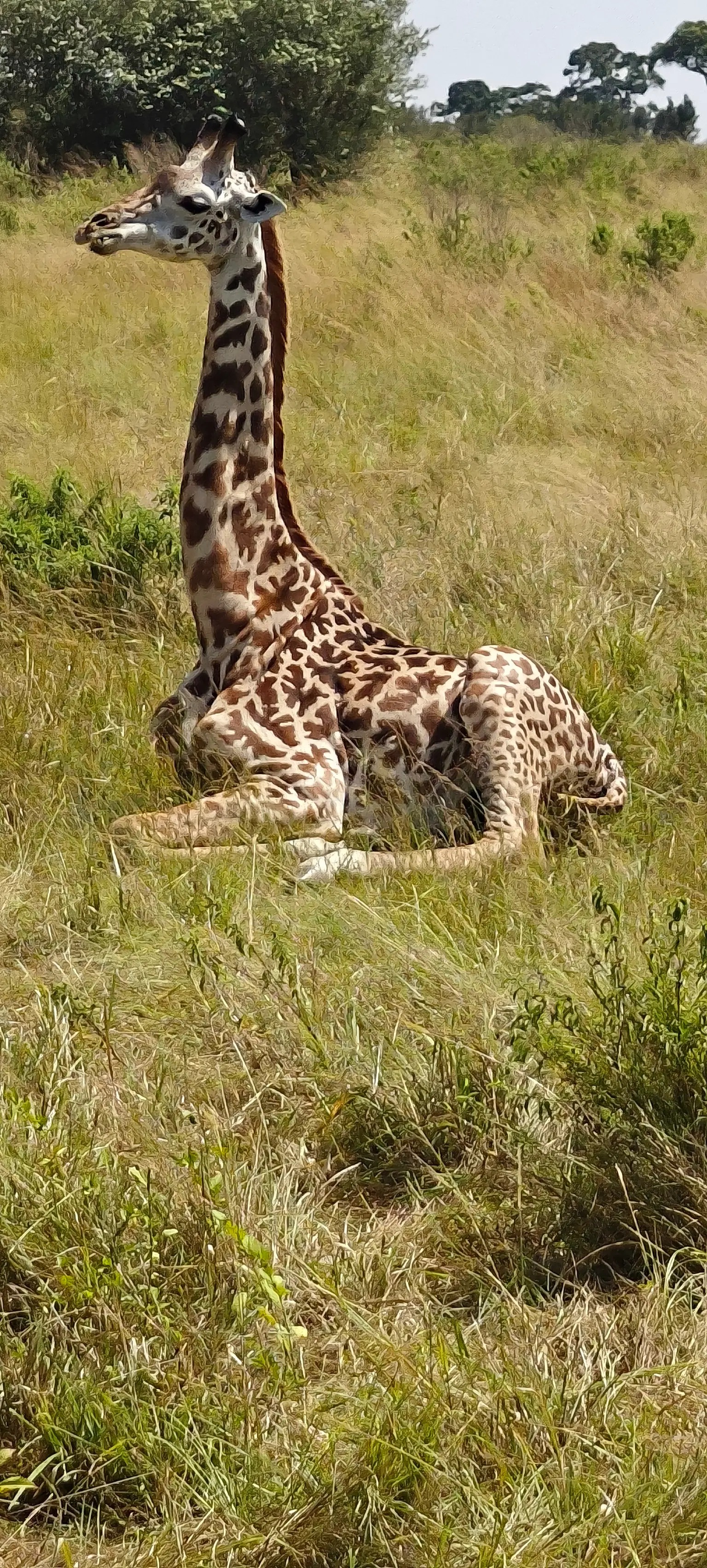 Photo from Avikal Mathur's trip