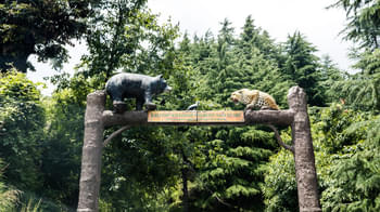 Sglwkrghqk5il7pwj61yvkz5u8om shutterstock 1459892021