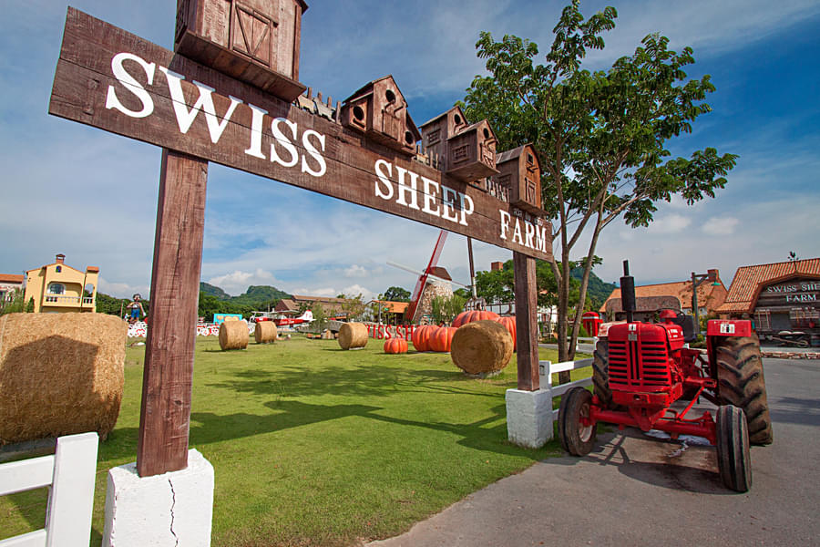 Explore Swiss Sheep Farm and admire Swiss-inspired architecture