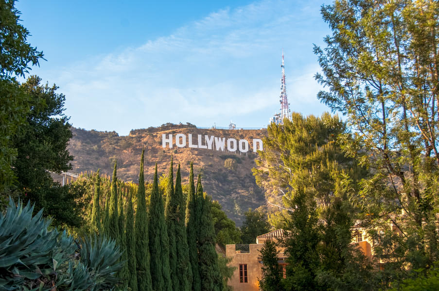 Hollywood and Celebrity Homes Tour Image
